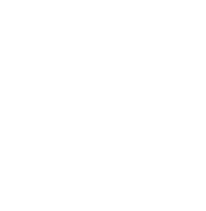 logo iris blanco